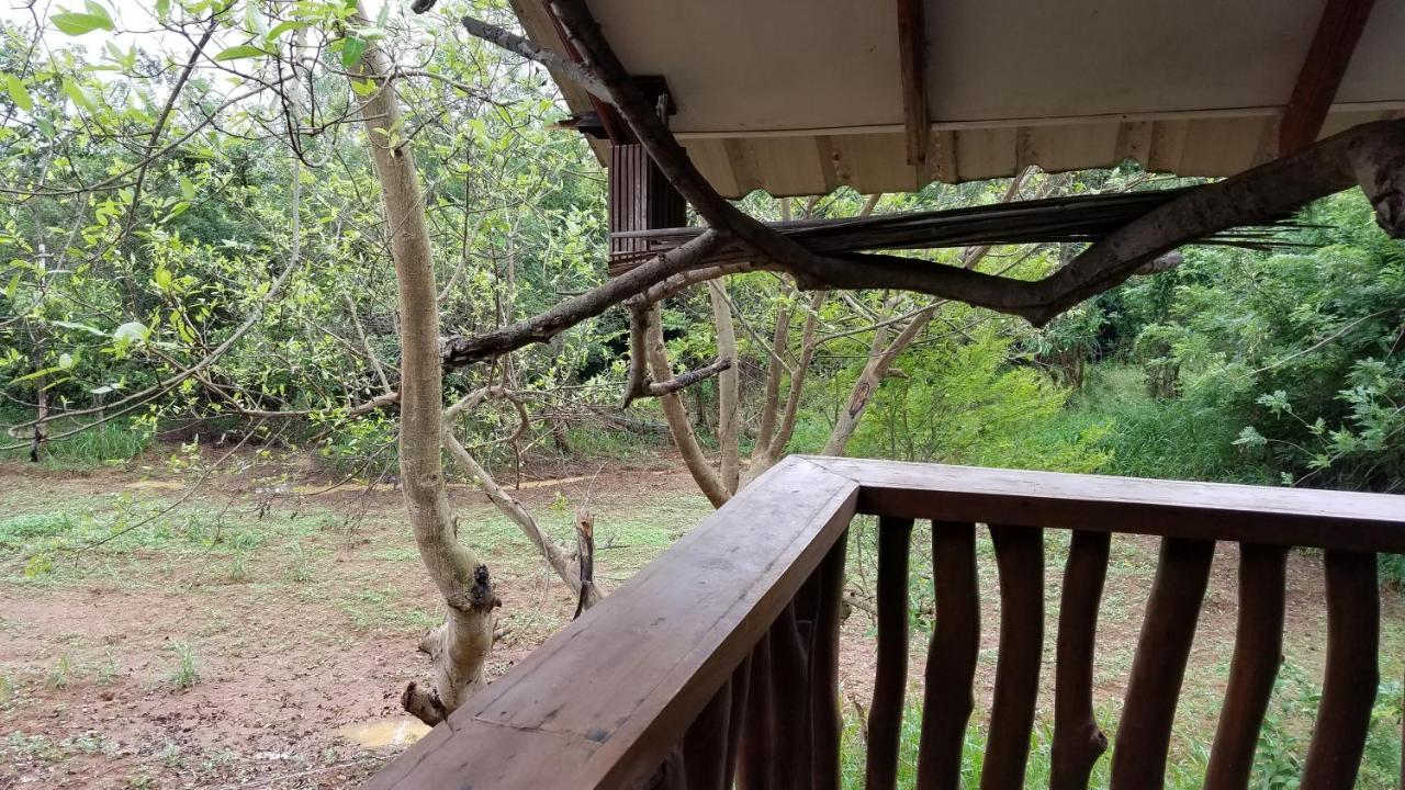 Sigiri Holiday Villa Sigiriya Exterior foto